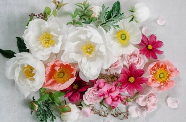 A Thorough Guide To Fresh Flowers, Artificial Flowers, And In-season Flowers